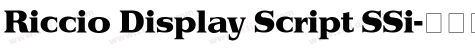 Riccio Display Script SSi字体转换